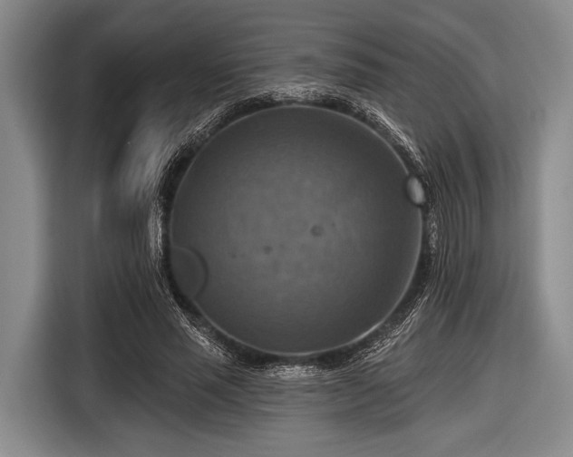 X0000116550637200912171350