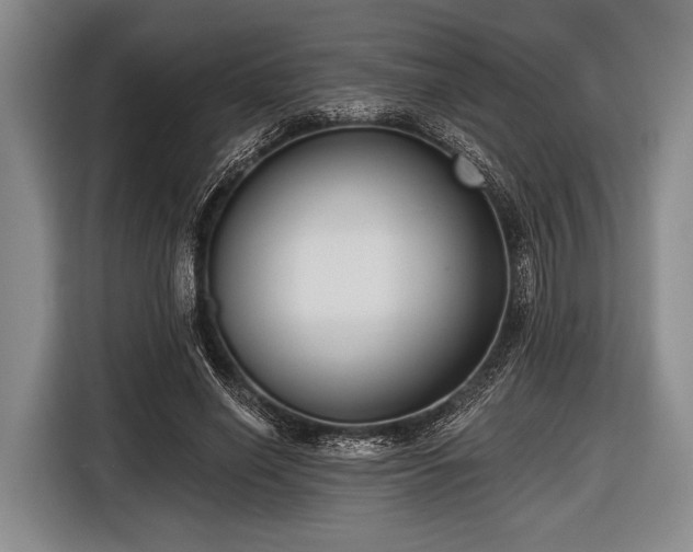 X0000116550638200912171350