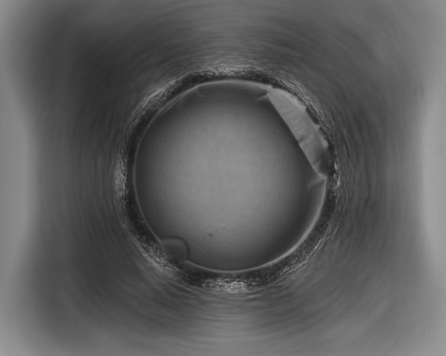 X0000116550640200912171350