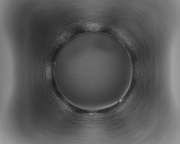 X0000116550641200912171350