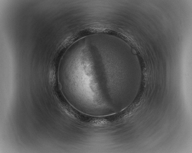 X0000116550642200912171350