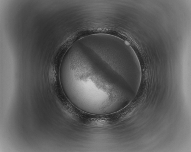 X0000116550643200912171350