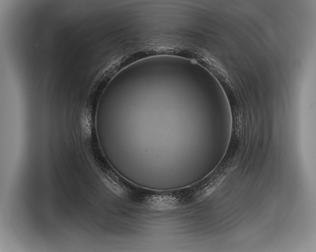 X0000116550644200912171350