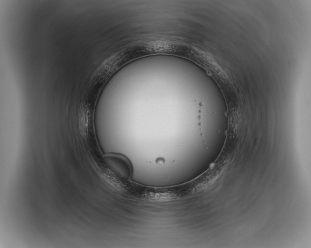 X0000116550645200912171350