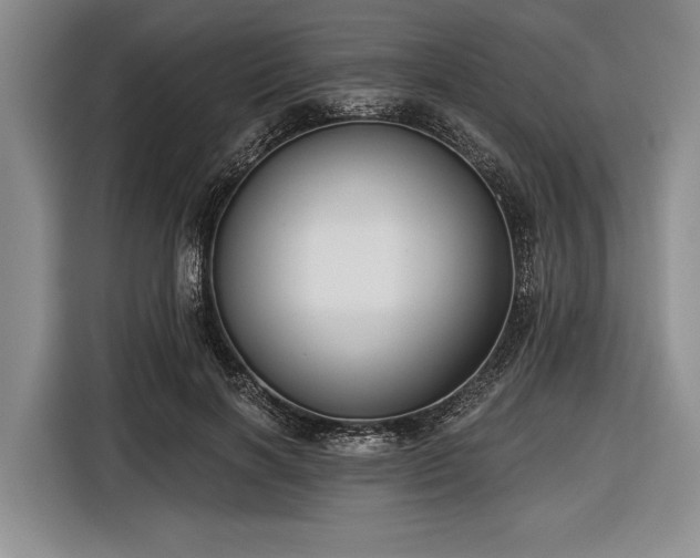 X0000116550646200912171350