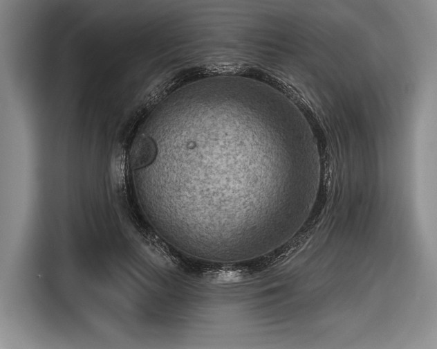 X0000116550647200912171350