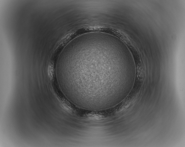 X0000116550648200912171350