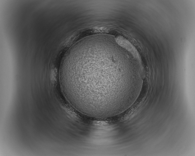 X0000116550649200912171350