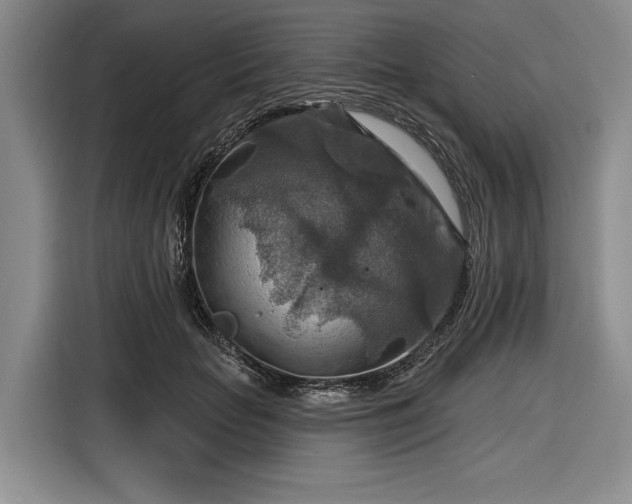 X0000116550653200912171350