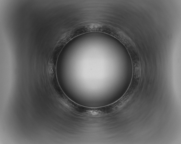 X0000116550654200912171350