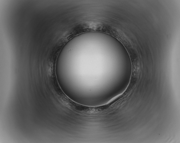 X0000116550656200912171350