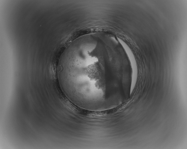 X0000116550661200912171350