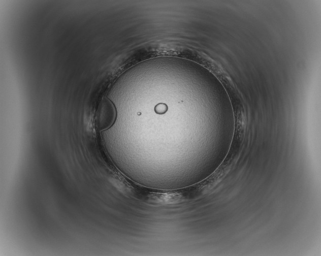 X0000116550663200912171350