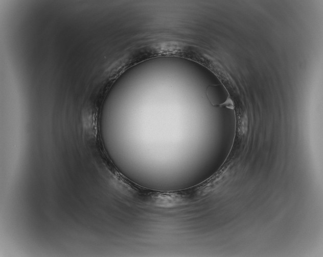 X0000116550666200912171350