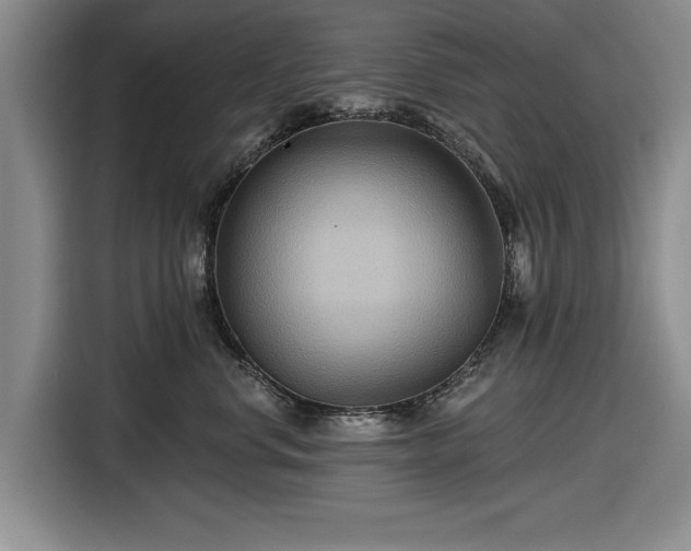 X0000116550668200912171350