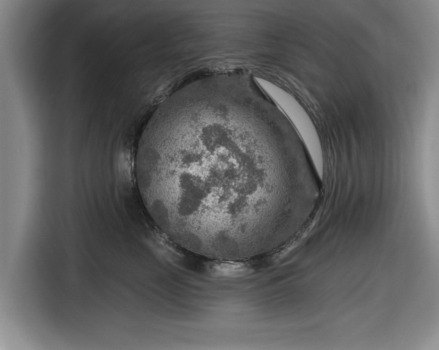 X0000116550669200912171350