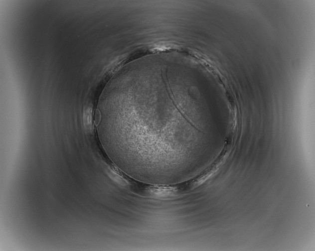 X0000116550670200912171350