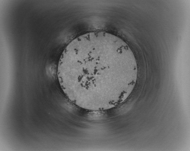 X0000116550672200912171350