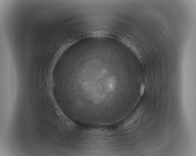 X0000116550673200912171349