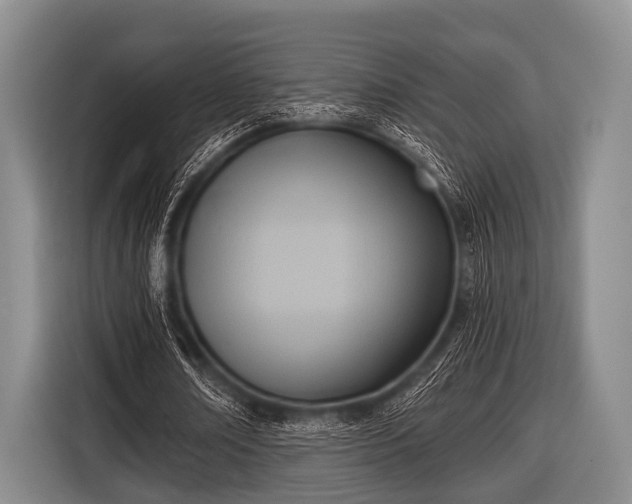 X0000116550674200912171349