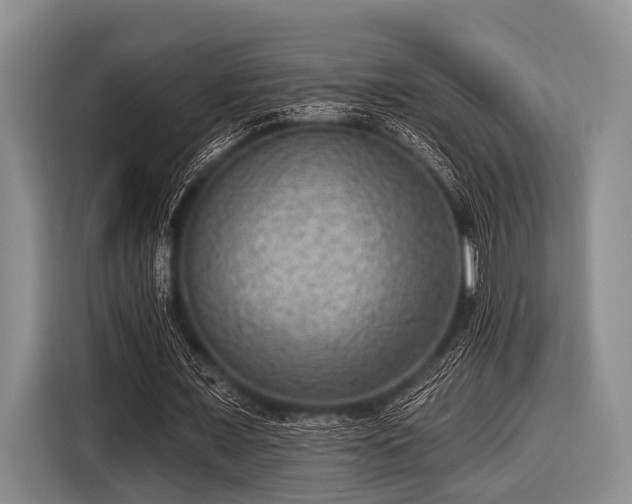 X0000116550675200912171349