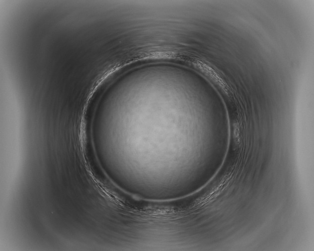 X0000116550676200912171349