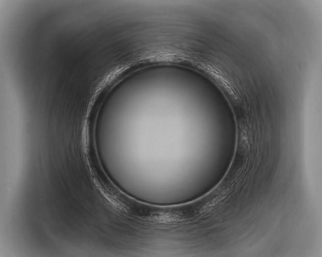 X0000116550678200912171349