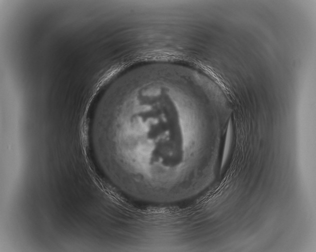 X0000116550679200912171349