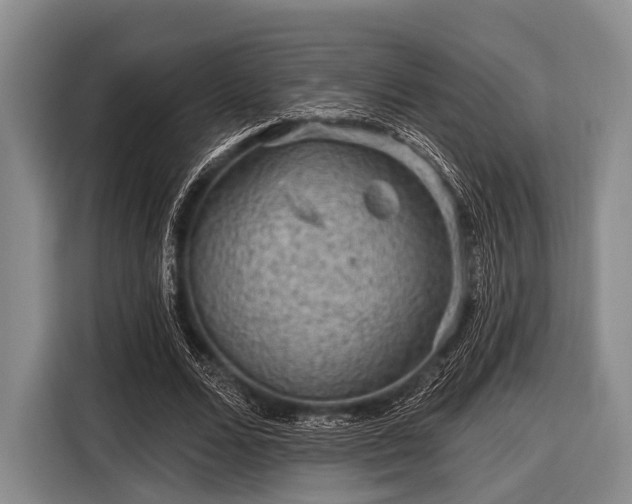 X0000116550680200912171349