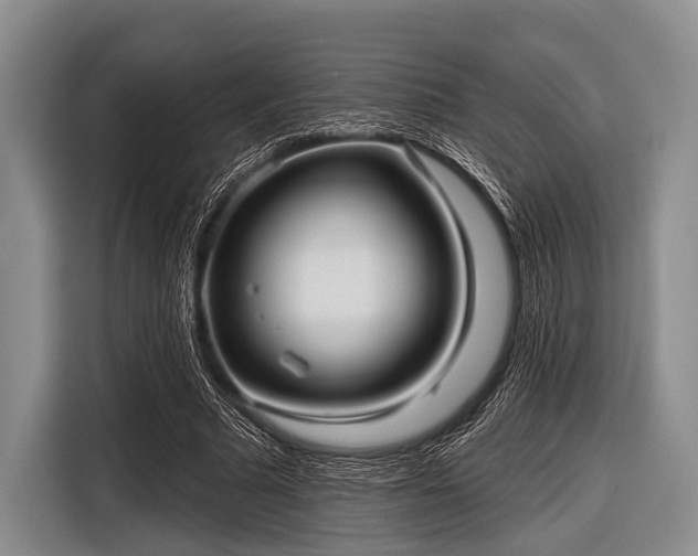 X0000116550681200912171349