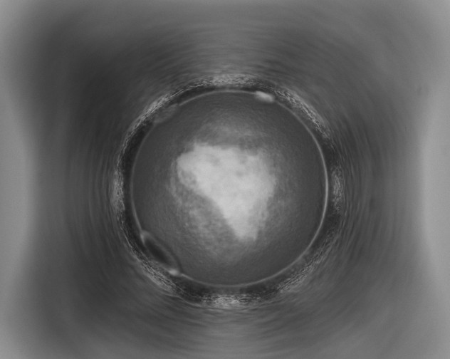 X0000116550684200912171349