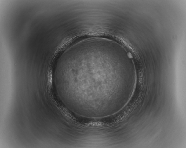 X0000116550685200912171349