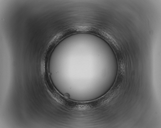 X0000116550686200912171349