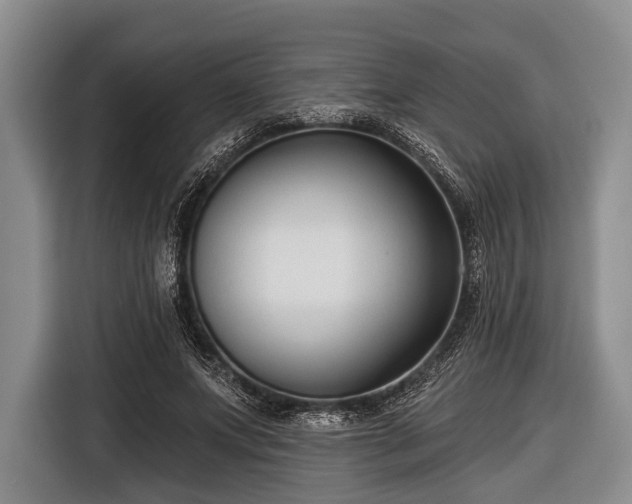 X0000116550687200912171349