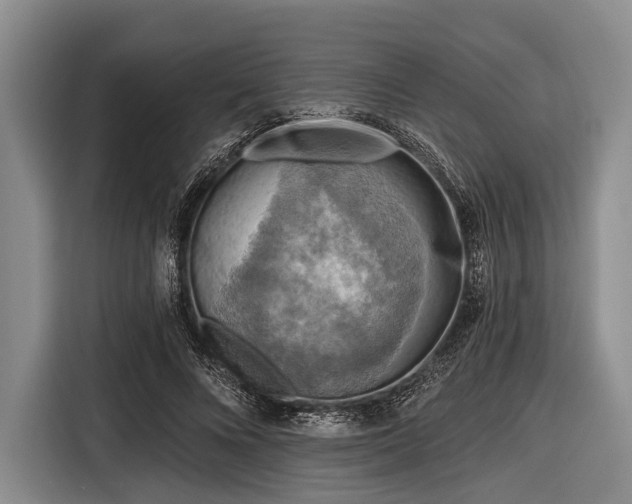 X0000116550688200912171349