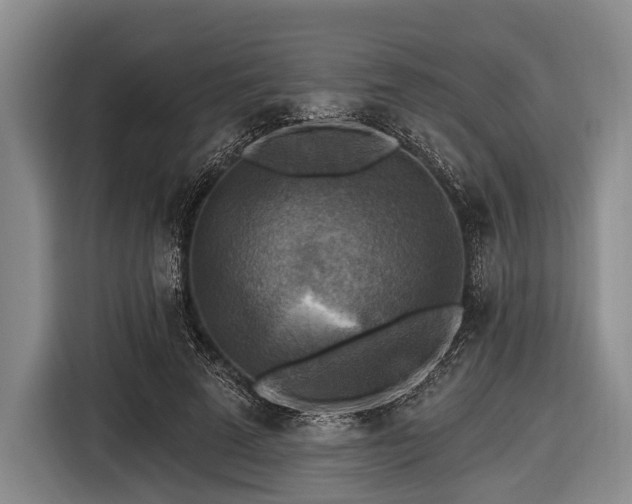 X0000116550689200912171349