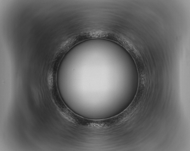 X0000116550690200912171349