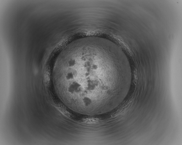 X0000116550691200912171349