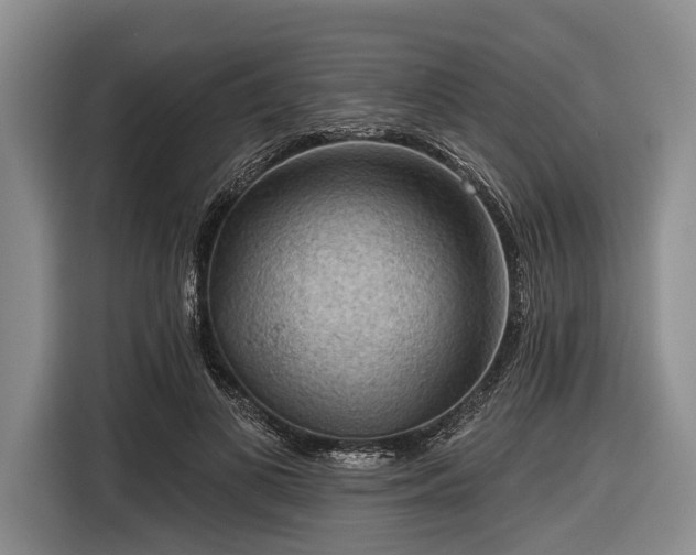 X0000116550693200912171349