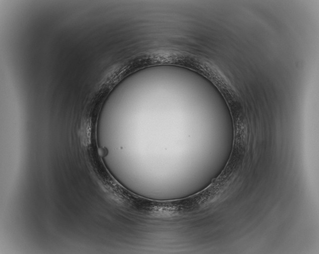 X0000116550694200912171349