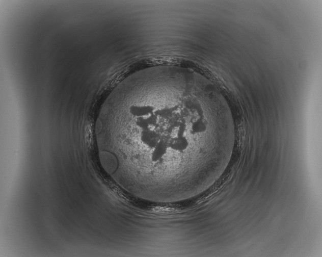 X0000116550699200912171349