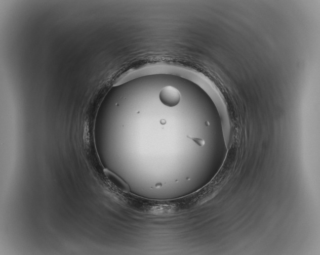 X0000116550700200912171349