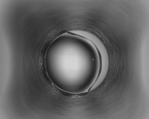 X0000116550701200912171349