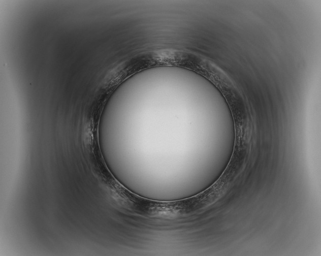 X0000116550702200912171349