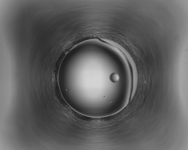 X0000116550704200912171349