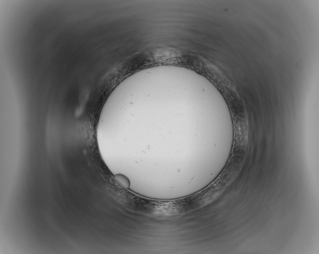 X0000116550705200912171349