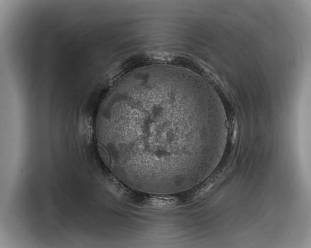 X0000116550707200912171349