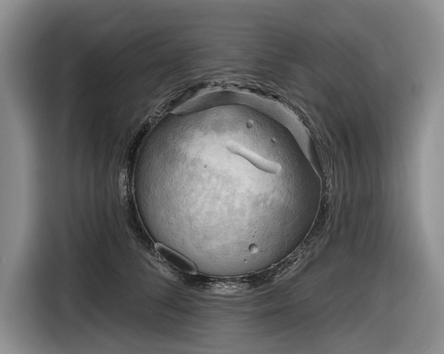 X0000116550708200912171349