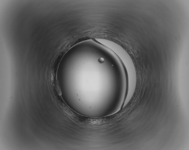 X0000116550709200912171349