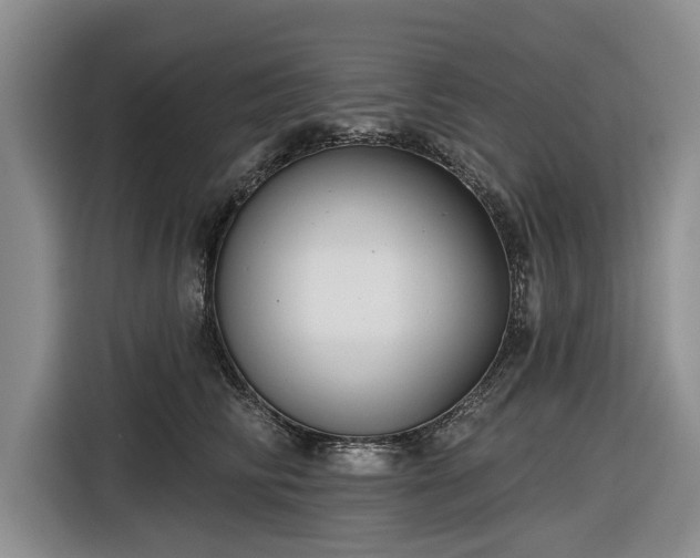 X0000116550710200912171349